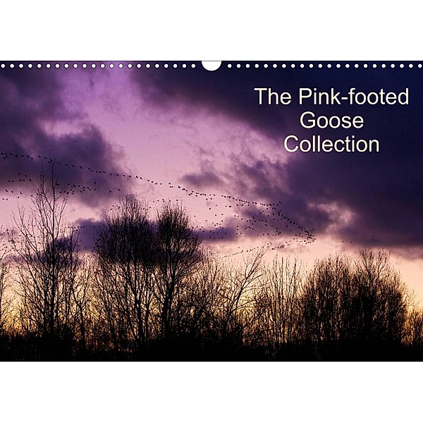 The Pinkfoot Goose Collection (Wall Calendar 2023 DIN A3 Landscape), Glenn Upton-Fletcher