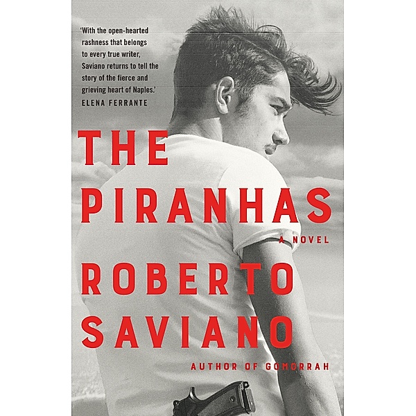The Piranhas, Roberto Saviano