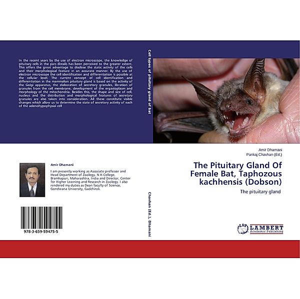 The Pituitary Gland Of Female Bat, Taphozous kachhensis (Dobson), Amir Dhamani