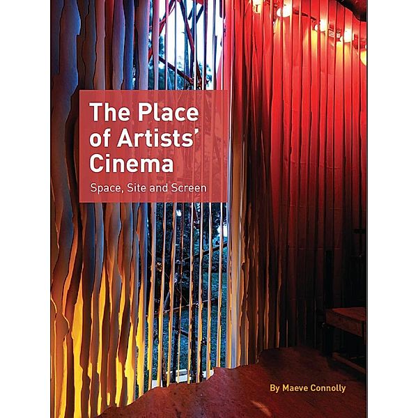 The Place of Artists' Cinema, Maeve Connolly