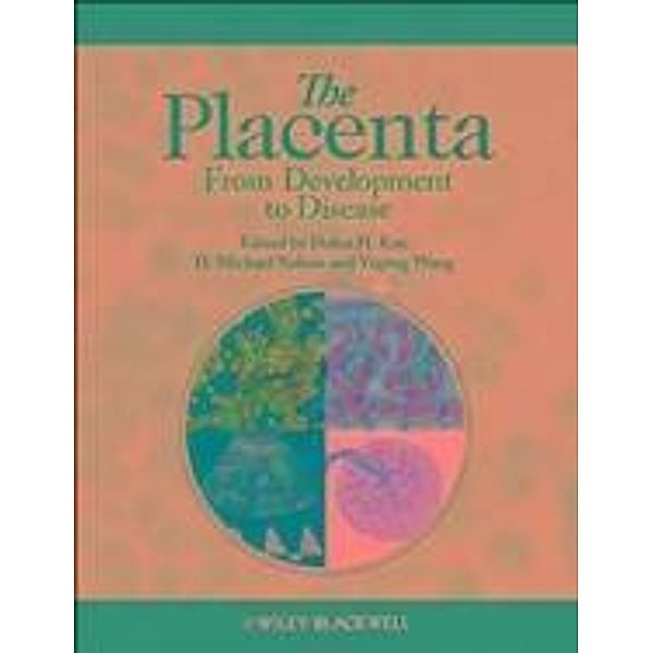 The Placenta