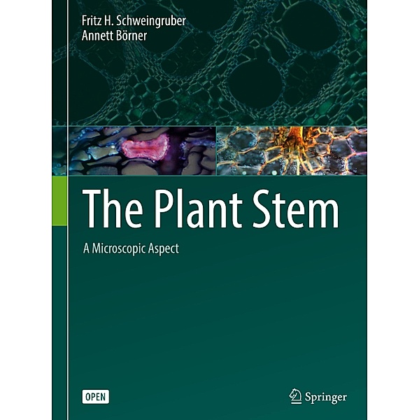 The Plant Stem, Fritz H. Schweingruber, Annett Börner