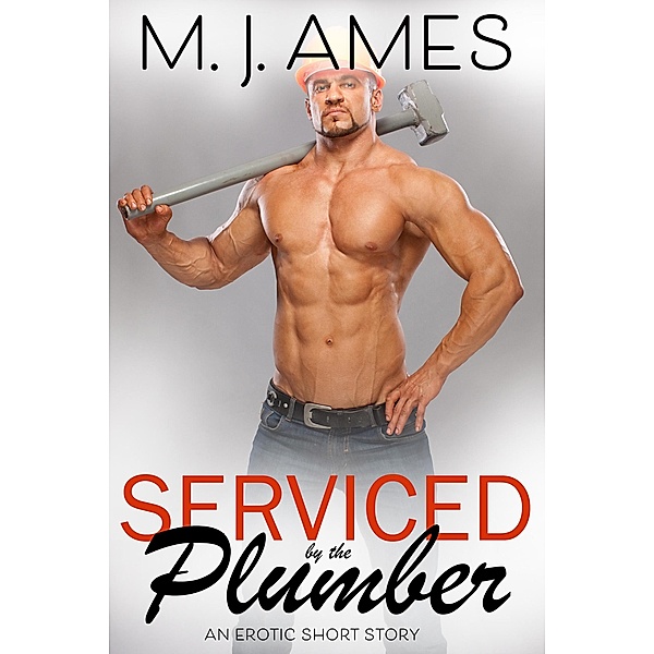 The Plumber, M. J. Ames