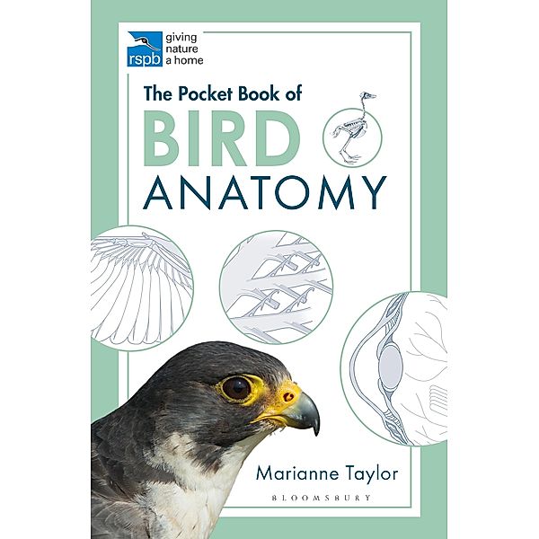 The Pocket Book of Bird Anatomy, Marianne Taylor
