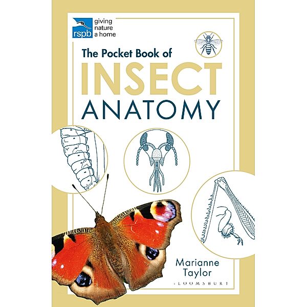 The Pocket Book of Insect Anatomy, Marianne Taylor