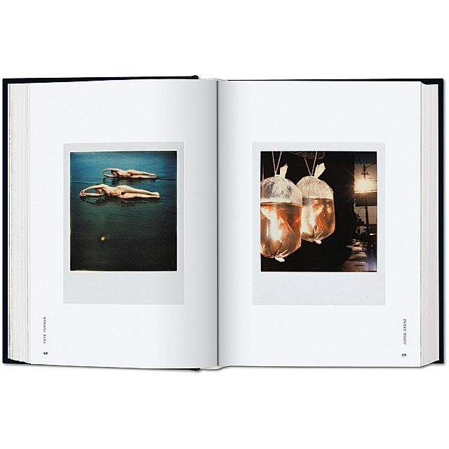 The Polaroid Book Buch von Barbara Hitchcock versandkostenfrei kaufen