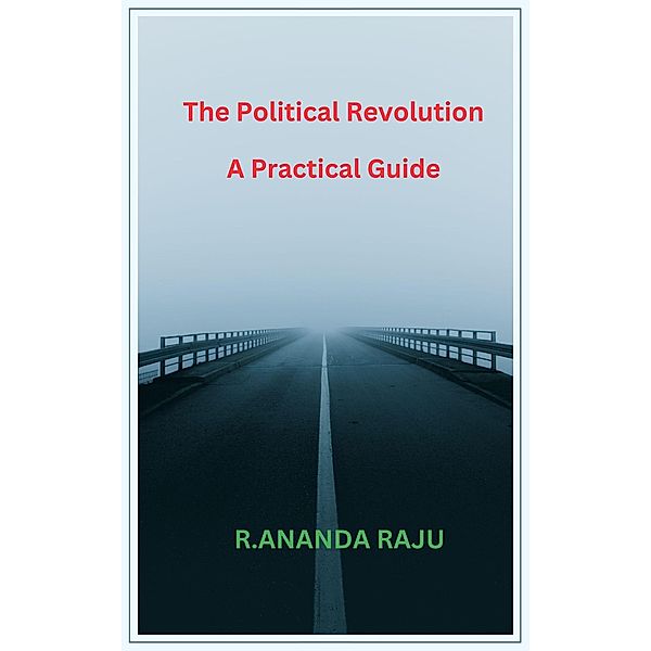 The Political Revolution    A Practical Guide, Ananda Raju