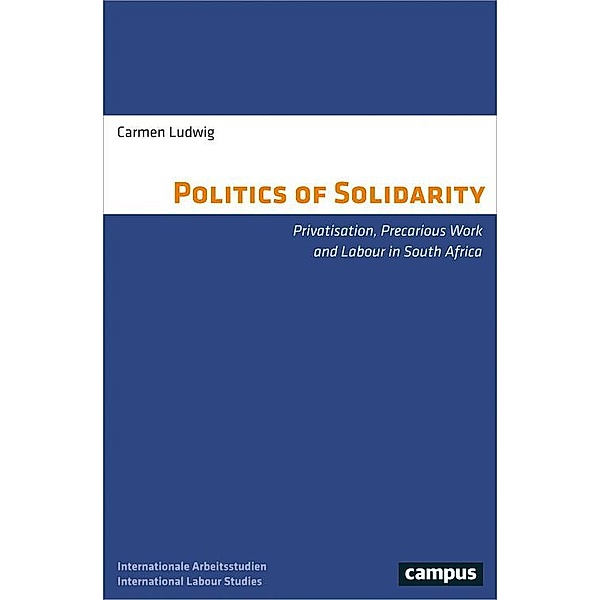 The Politics of Solidarity / Labour Studies Bd.22, Carmen Ludwig