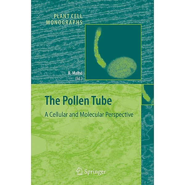 The Pollen Tube