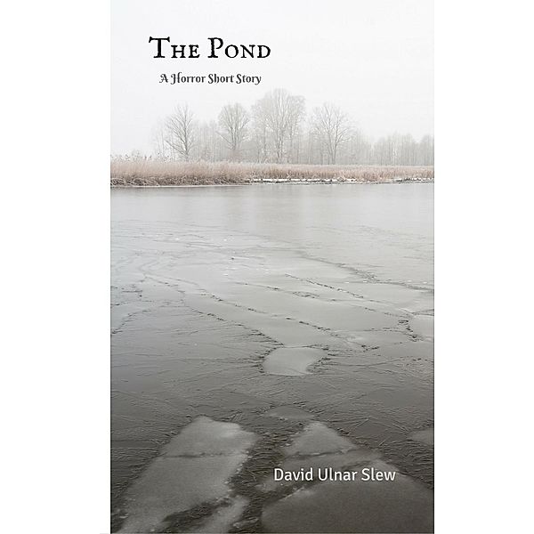 The Pond, David Ulnar-Slew