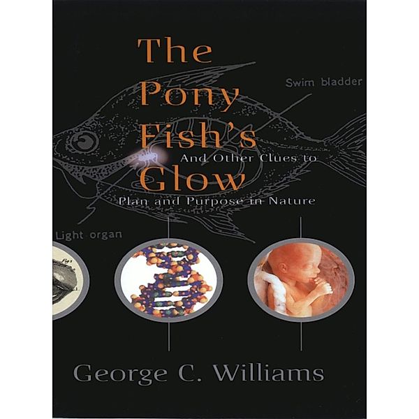 The Pony Fish's Glow, George C. Williams