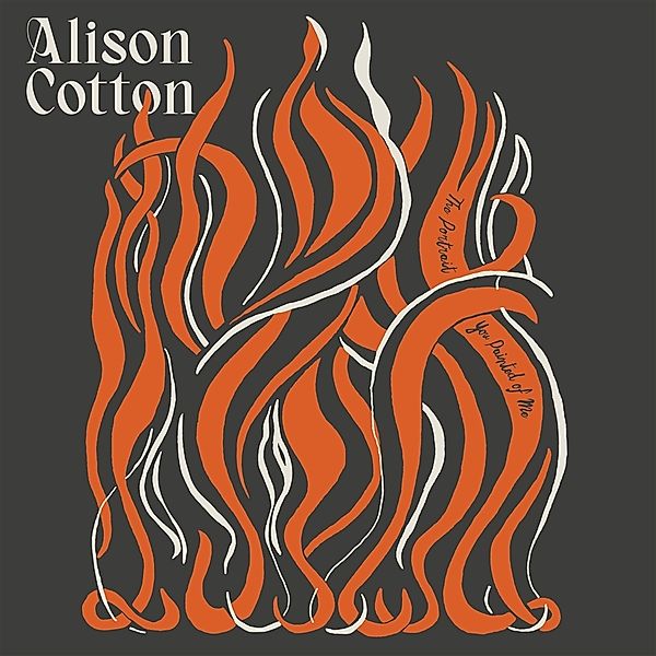 The Portrait You Painted Of Me (Vinyl), Alison Cotton