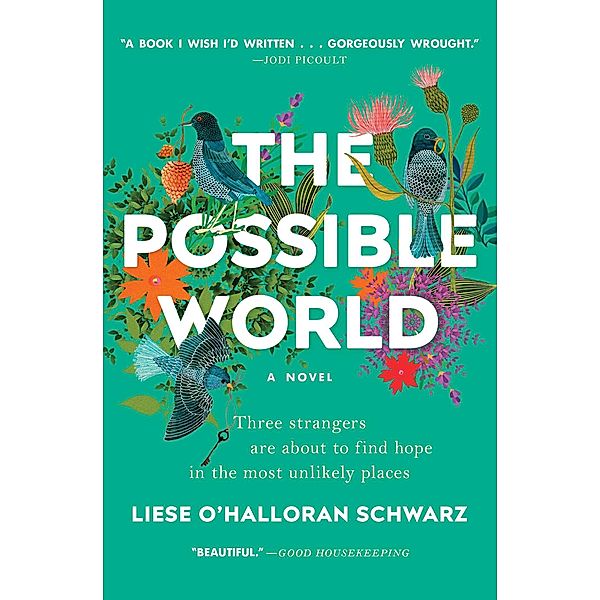 The Possible World, Liese O'Halloran Schwarz