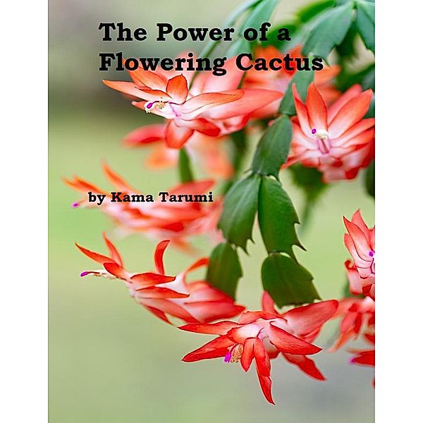 The Power of a Flowering Cactus, Kama Tarumi