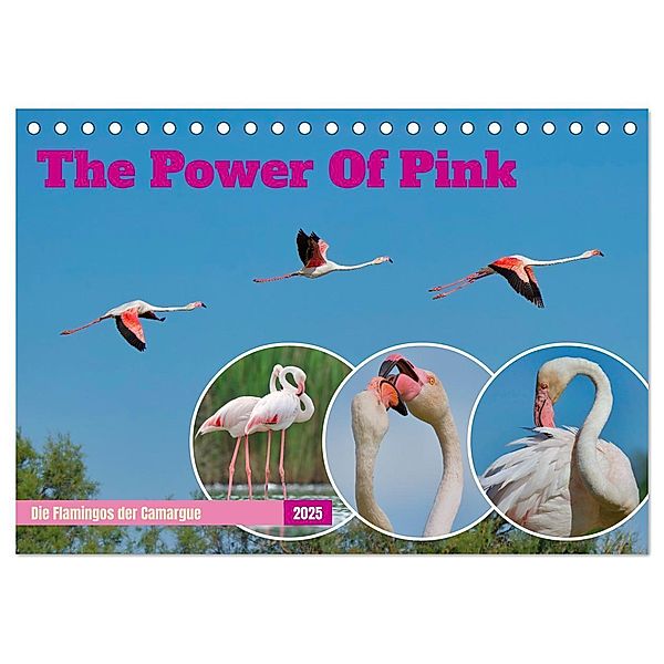 The Power Of Pink (Tischkalender 2025 DIN A5 quer), CALVENDO Monatskalender, Calvendo, Andreas Freund