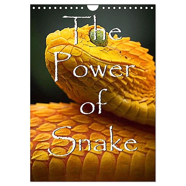 The Power Of Snake (Wandkalender 2024 DIN A4 hoch), CALVENDO Monatskalender, Jürgen Bedaam