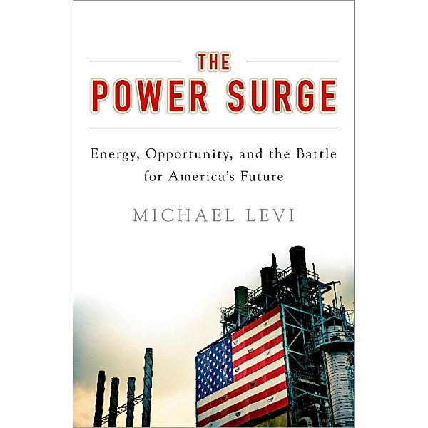 The Power Surge, Michael Levi