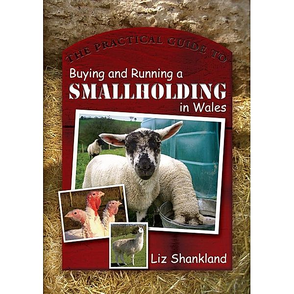 The Practical Guide to Buying and Running a Smallholding in Wales, Liz Shankland