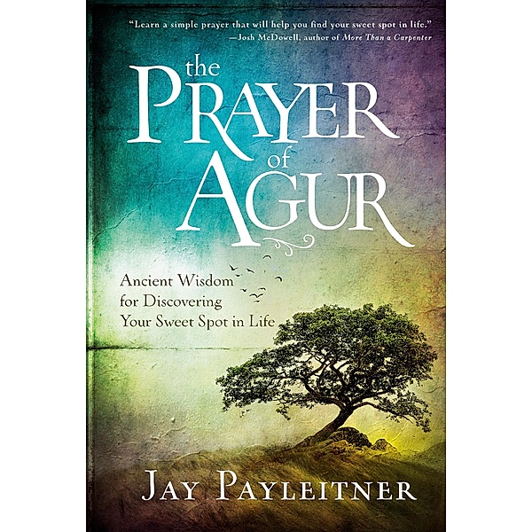 The Prayer of Agur, Jay Payleitner