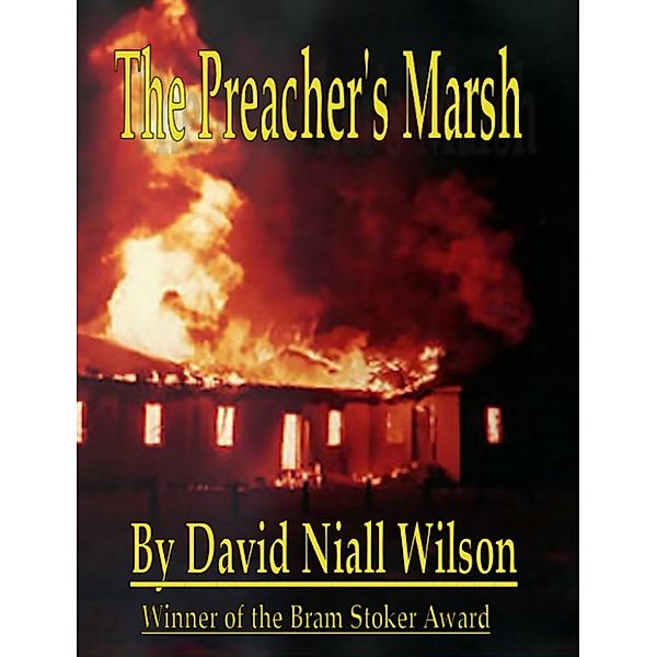 The Preacher's Marsh, David Niall Wilson