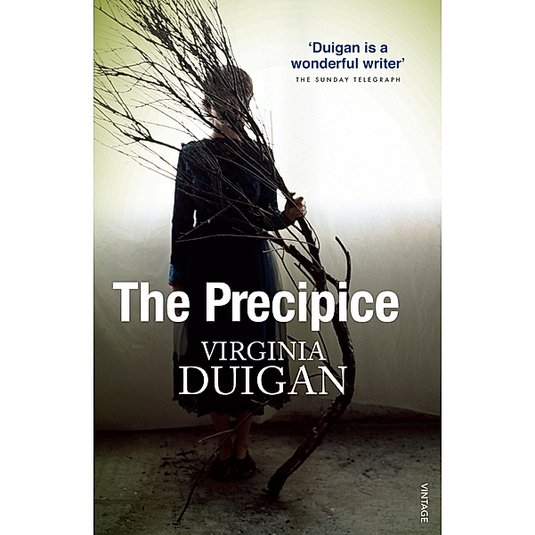 The Precipice / Puffin Classics, Virginia Duigan