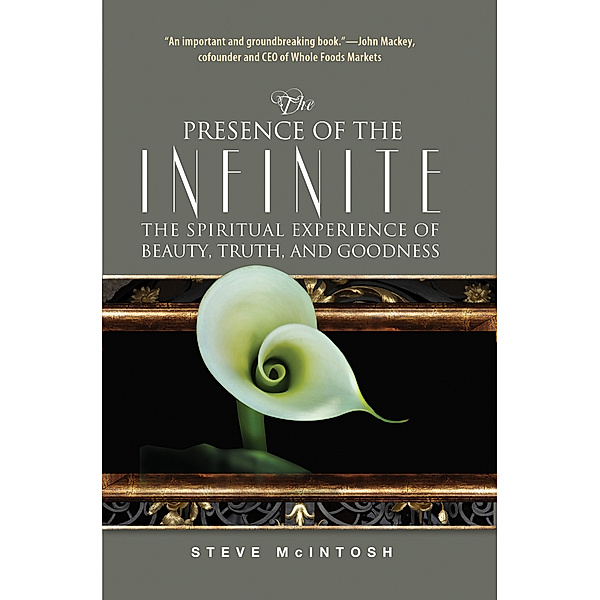 The Presence of the Infinite, Steve McIntosh