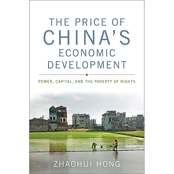 The Price of China's Economic Development, Zhaohui Hong