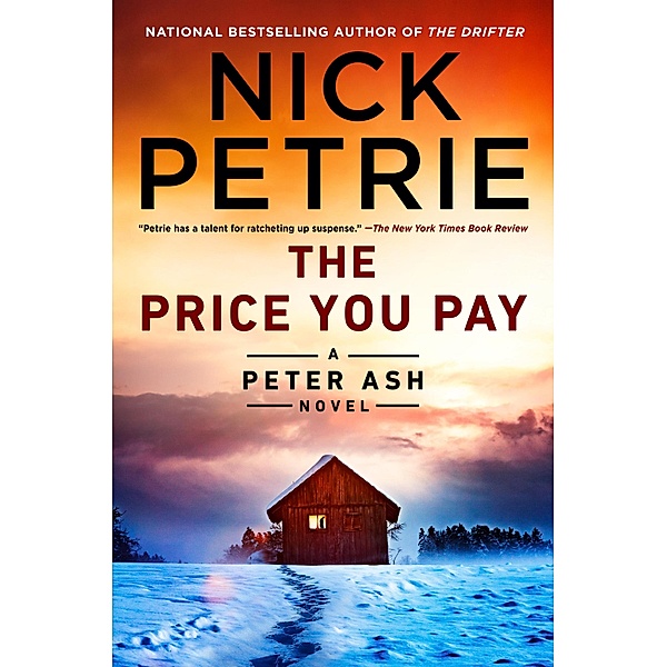 The Price You Pay / A Peter Ash Novel Bd.8, Nick Petrie