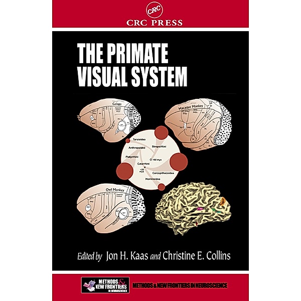 The Primate Visual System