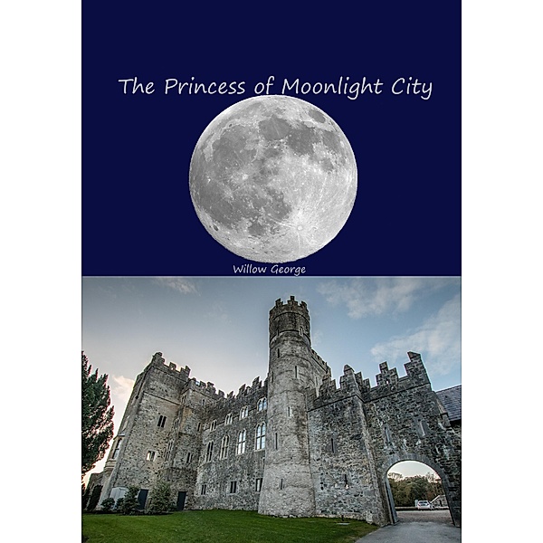 The Princess of Moonlight City, Willow George