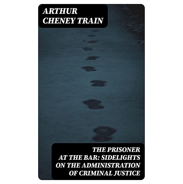The Prisoner at the Bar: Sidelights on the Administration of Criminal Justice, Arthur Cheney Train
