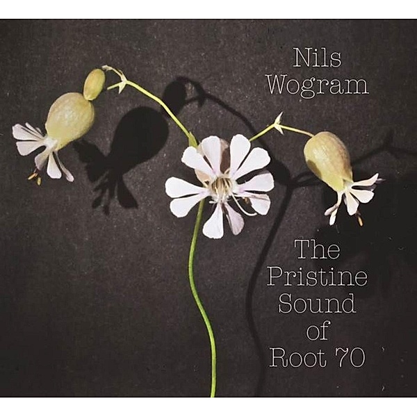 The pristine sound of Root 70, Nils Root 70 Wogram