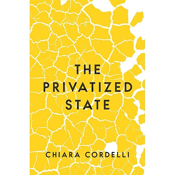 The Privatized State, Chiara Cordelli