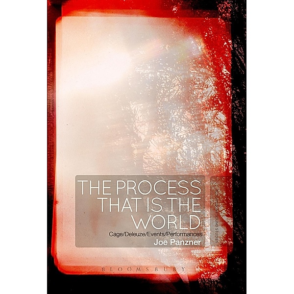 The Process That Is the World, Joe Panzner