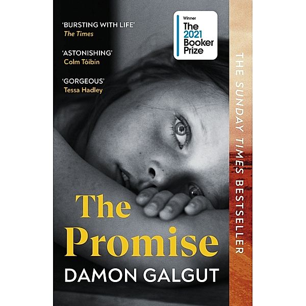 The Promise, Damon Galgut