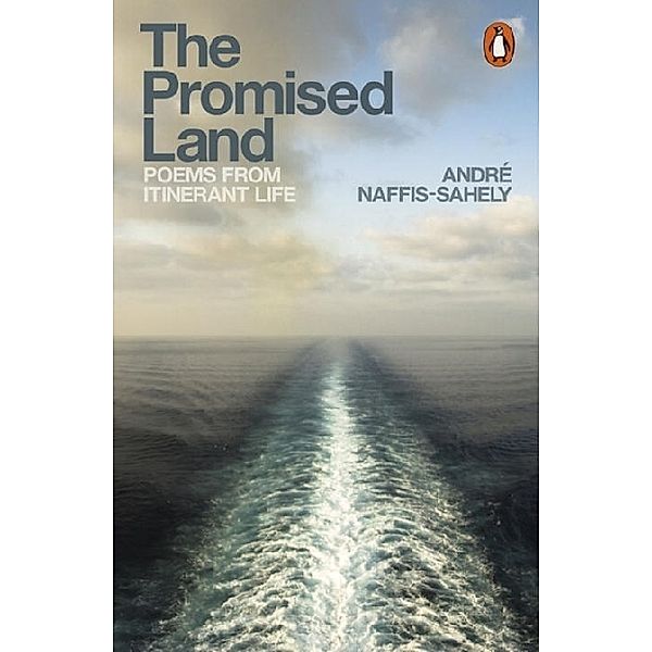 The Promised Land, André Naffis-Sahely