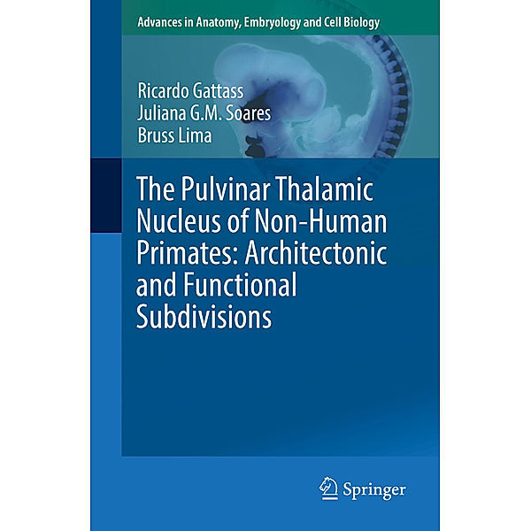 The Pulvinar Thalamic Nucleus of Non-Human Primates: Architectonic and Functional Subdivisions, Ricardo Gattass, Juliana G.M. Soares, Bruss Lima