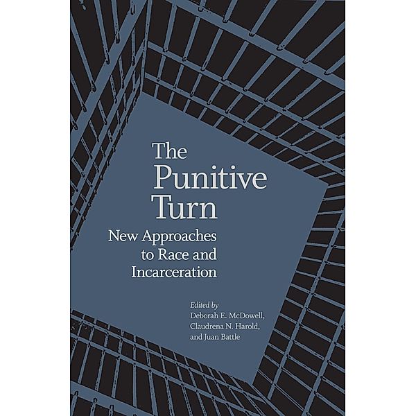 The Punitive Turn / Carter G. Woodson Institute Series