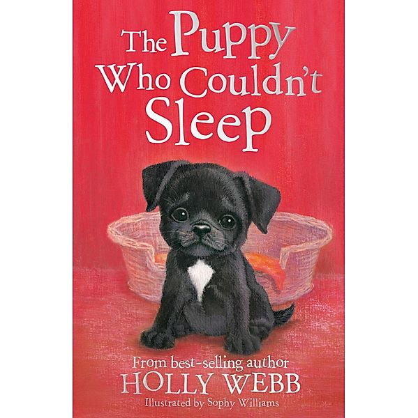 The Puppy Who Couldn't Sleep / Holly Webb Animal Stories Bd.42, Holly Webb