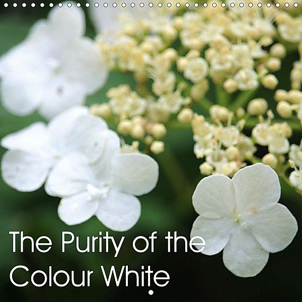 The Purity of the Colour White (Wall Calendar 2021 300 × 300 mm Square)