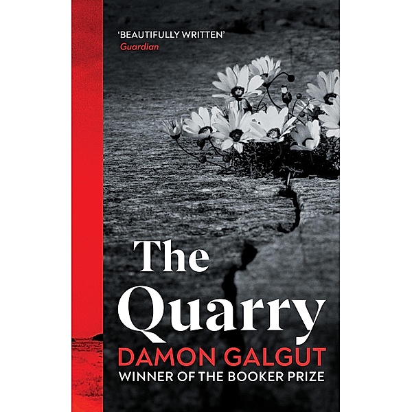 The Quarry, Damon Galgut