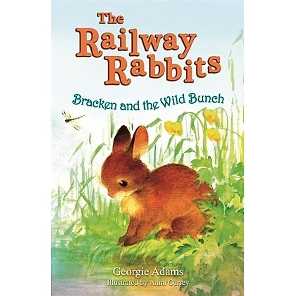 The Railway Rabbits - Bracken and the Wild Bunch, Georgie Adams