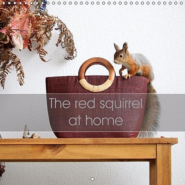 The red squirrel at home (Wall Calendar 2017 300 × 300 mm Square), Eurika Balsyte-Ojakoski