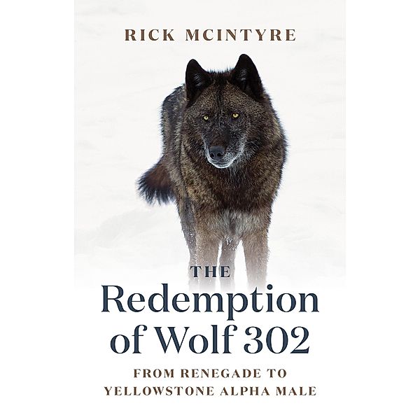 The Redemption of Wolf 302 / The Alpha Wolves of Yellowstone Bd.3, Rick McIntyre