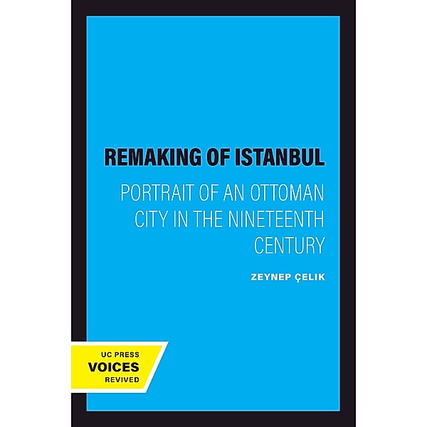 The Remaking of Istanbul, Zeynep Çelik