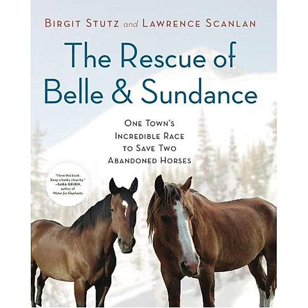 The Rescue of Belle and Sundance / A Merloyd Lawrence Book, Birgit Stutz, Lawrence Scanlan