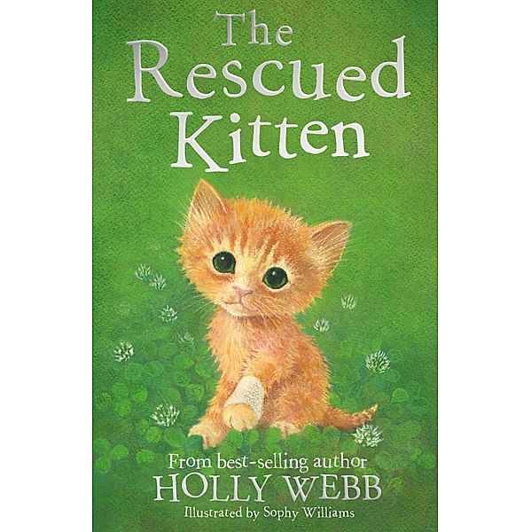 The Rescued Kitten, Holly Webb