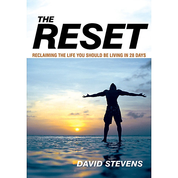 The Reset, David Stevens