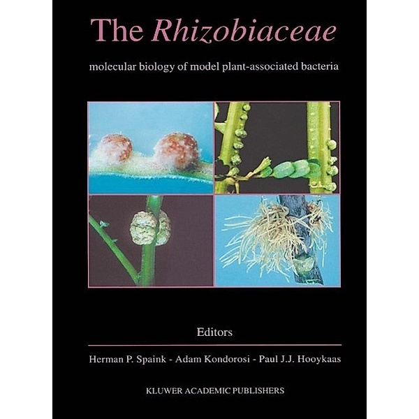 The Rhizobiaceae