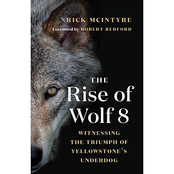 The Rise of Wolf 8 / The Alpha Wolves of Yellowstone Bd.1, Rick McIntyre